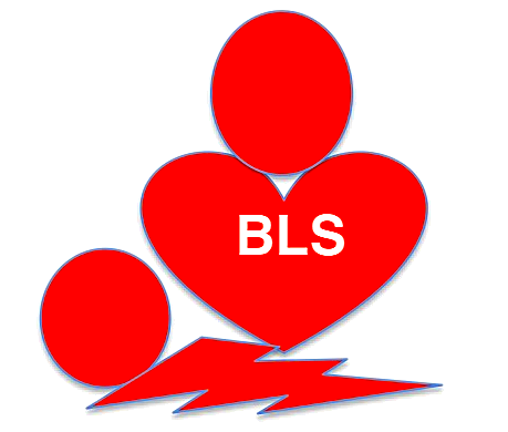 BLS for Providers